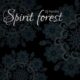 dj fardin spirit forest 80x80 - دانلود ریمیکس آهنگ دیجی فردین به نام دنیای وارونه