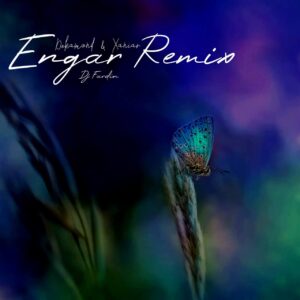 دانلود ریمیکس  دیجی فردین به نام انگار