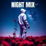 دانلود ریمیکس  دیجی فردین به نام نایت میکس 8