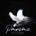 دانلود ریمیکس  دیجی فردین به نام پرواز