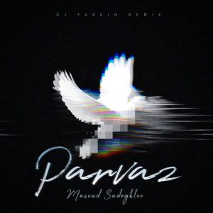 dj fardin parvaz 300x300 - دانلود ریمیکس  دیجی فردین به نام پرواز