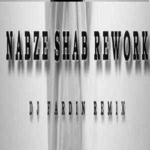 دانلود ریمیکس  دیجی فردین به نام نبض شب