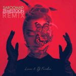 دانلود ریمیکس  دیجی فردین به نام سر اومد زمستون